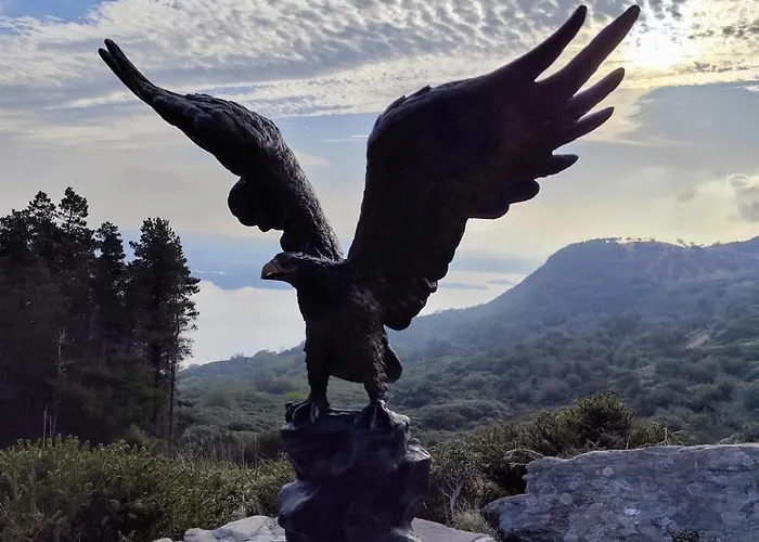 Amy's キラーニー