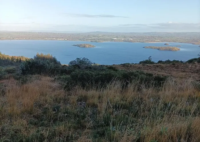 Amy's * キラーニー