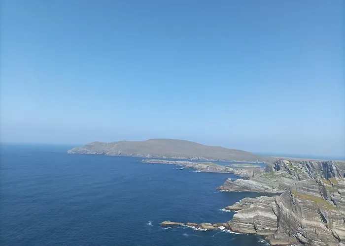 Amy's * キラーニー